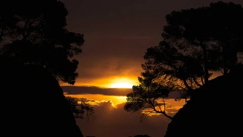 Beach Valley Silhouette Trees Forest Cliffs, Stock Footage 234491421