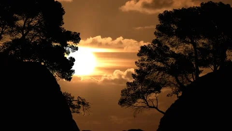 Beach Valley Silhouette Trees Forest Cliffs, Stock Footage 237006158