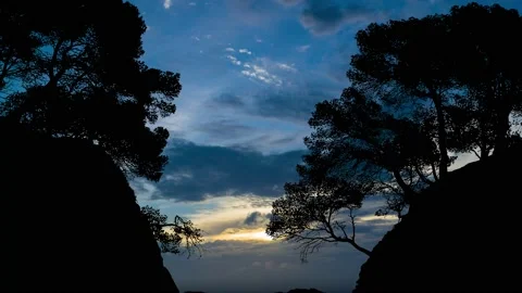 Beach Valley Silhouette Trees Forest Cliffs, Stock Footage 237532089