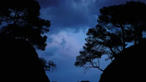 Beach Valley Silhouette Trees Forest Cliffs, Stock Footage 237574392