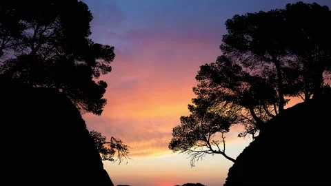 Beach Valley Silhouette Trees Forest Cliffs, Stock Footage 237575985