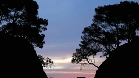 Beach Valley Silhouette Trees Forest Cliffs, Stock Footage 238044423