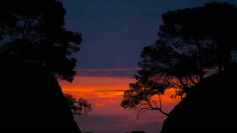 Beach Valley Silhouette Trees Forest Cliffs, Stock Footage 238406657
