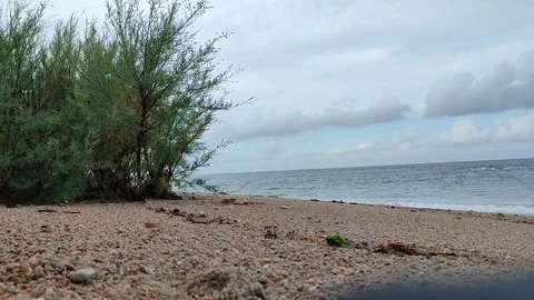 Beach with vegetation, pebbles and clouds Stock Footage 276363072