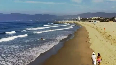 Beach at Venice Beach Stock Footage 98579016