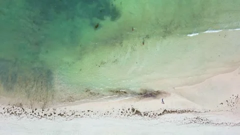 Beach vertical view by drone in Lombok, Indonesia Stock Footage 249471503