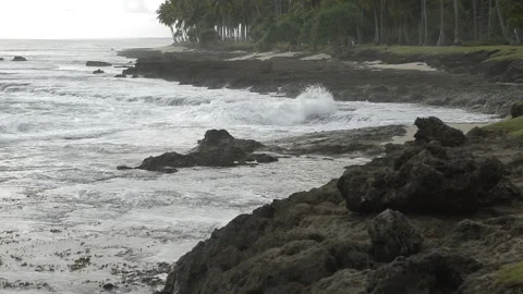 Beach vibes with coral Video stock 194423064