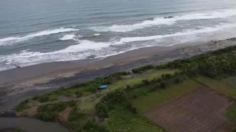 Beach video Video stock 274336265