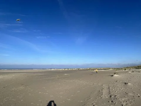 Beach view with blue sky Foto stock