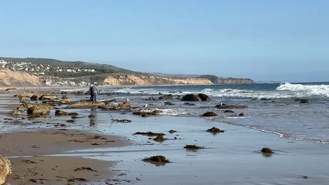 Beach View at Crystal Cove State Park Stock Footage 175848342
