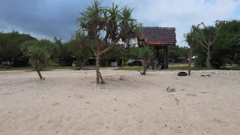 Beach View Stock Footage 147195538