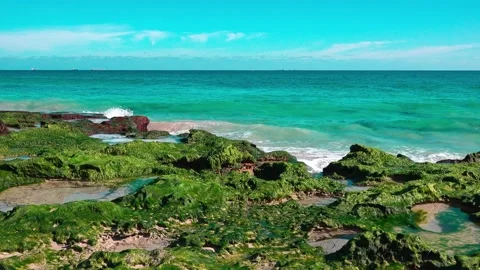 Beach view Stock Footage 282832711