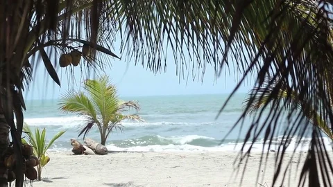 Beach View Framed by Palm Fronds Stock Footage 71976488