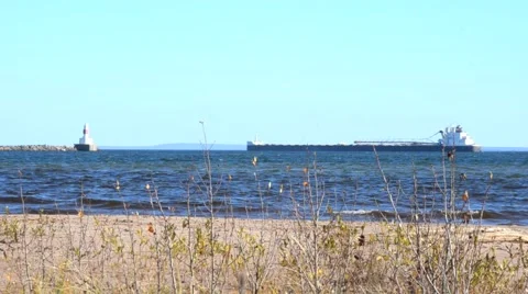 Beach view of Freighter Vidéo 45519528