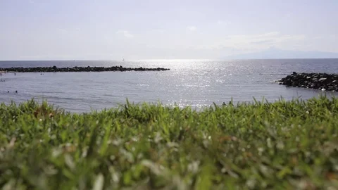 Beach view from green grass Video stock 74464508