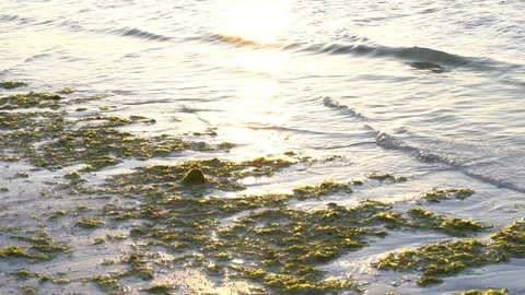 Beach view on a little ship in the sunset Video stock 105579637
