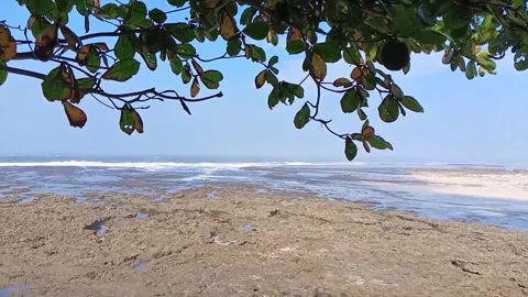 Beach view located in Garut, West Java, Indonesia_slow motion Stock Footage 274530928