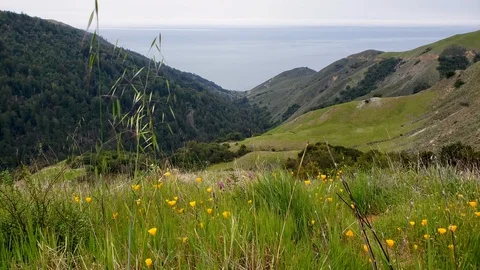 Beach view from the mountain Stock Footage 100616645
