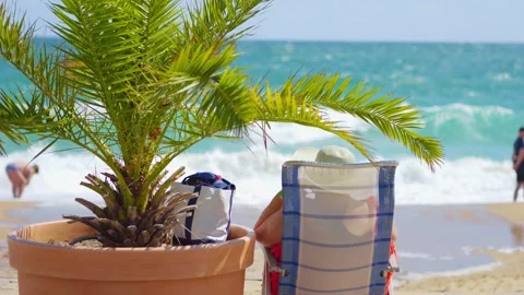 Beach view obscured by vibrant palm fronds in 4k slow motion 120fps Stock Footage 266511292