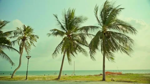 Beach view with palm trees blue sky boats and sea clouds in the sky Stock Footage 300716949