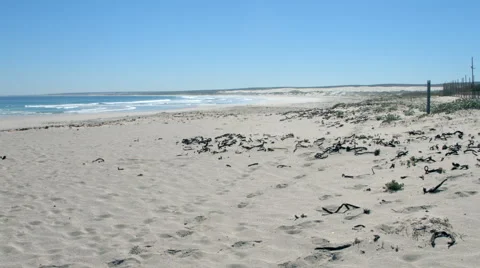 Beach View Pan, Western Cape, South Africa Video stock 42775541
