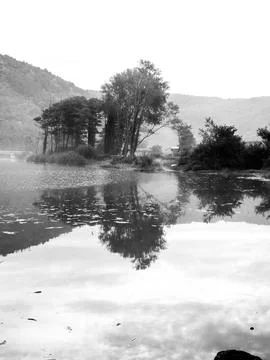 The beach view Stock Photos