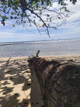 Beach view Foto stock