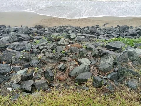Beach View Stock Photos