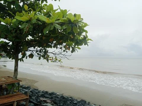 Beach View Stock Photos