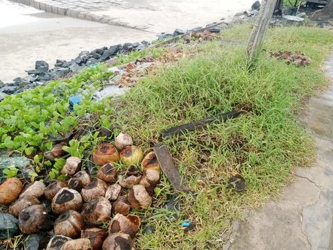 Beach View Stock Photos