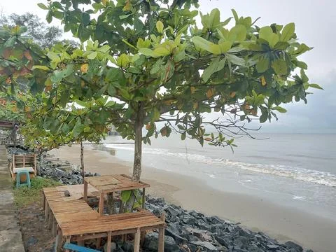 Beach View Stock Photos