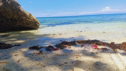 Beach view with rock Stock Photos
