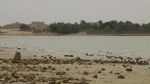 Beach view with rocks and greenery in Seef, Bahrain Video stock 334328489