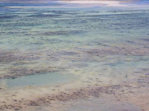 Beach view on a summer day during low tide Stock Photos
