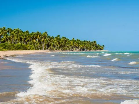 Beach view on a summer day Stock Photos