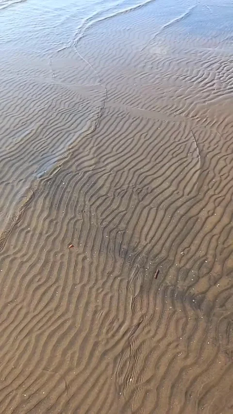 Beach view in summer, sand dunes Stock-Footage 281243469