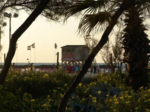 Beach view at sunset through palm trees and yellow flowers of a lifeguard bui Foto stock