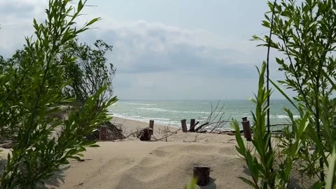 Beach View Through Green Dune Vegetation Toward the Baltic Sea Stockbeeldmateriaal 311130481