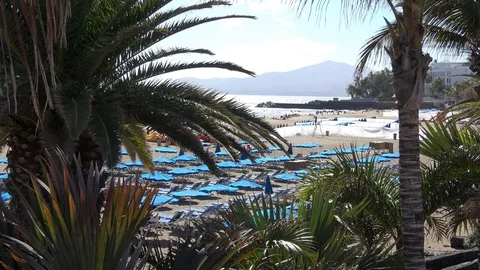 Beach view through the palm trees in Puerto del Carmen Lanzarote Spain Video stock 88129603