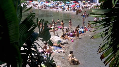 Beach view through palm trees at Isola Bella Island Stock Footage 161221605