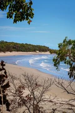 A Beach View Through Trees Stock Photos