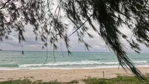 Beach View Toward Ocean, Ross and Smith Islands, Andaman Islands, India Stock Footage 339371704