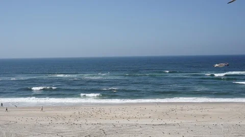 Beach view, waves and sand while seagulls pass by flying. Stock Footage 116437649