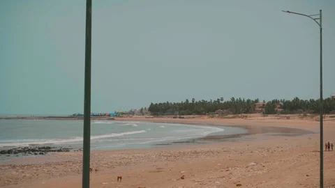 Beach view with waves and trees in background coastal landscape 库存影片 332920839