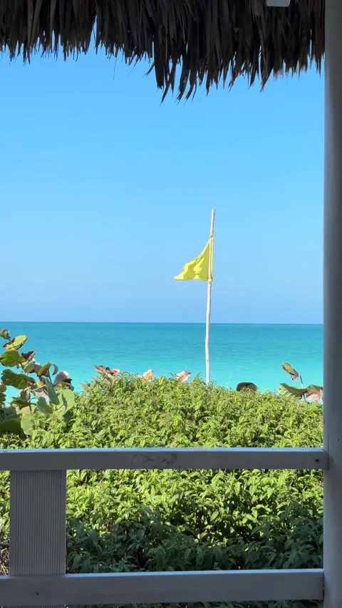 Beach View with Yellow Flag and Palm Roof Stock Footage 312688895