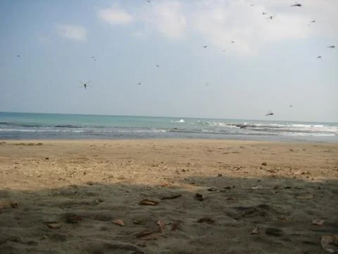 Beach Views in Java (Indonesia) - Part 2 Foto stock