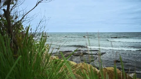 Beach views through slow moving grass 動画素材 146109057