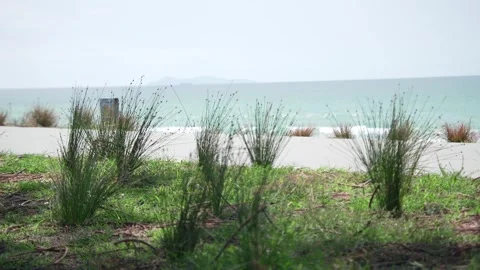 Beach Vista Stock Footage 302774607