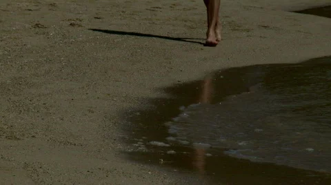 Beach walk dog Stock Footage 625555
