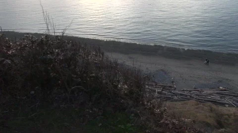 Beach walk Video stock 343497